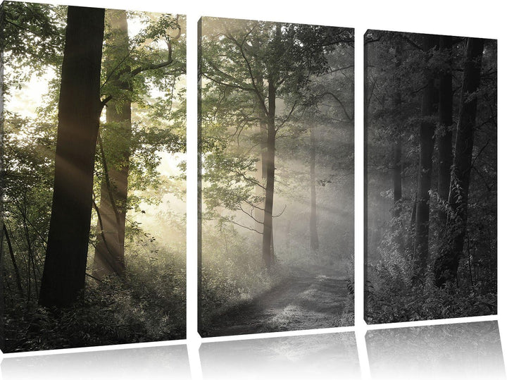 Pixxprint Waldweg im Grünen / 3-Teilig/Gesamtmass 120cm Leinwandbild bespannt auf Holzrahmen/Wandbil