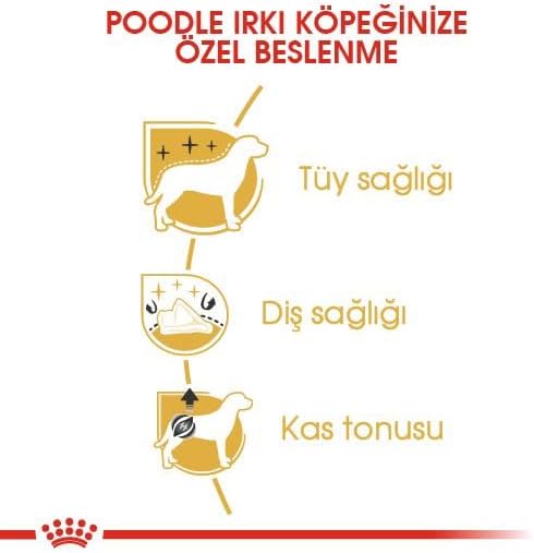 Royal Canin Poodle Erwachsene Hundefutter, 3 Kg