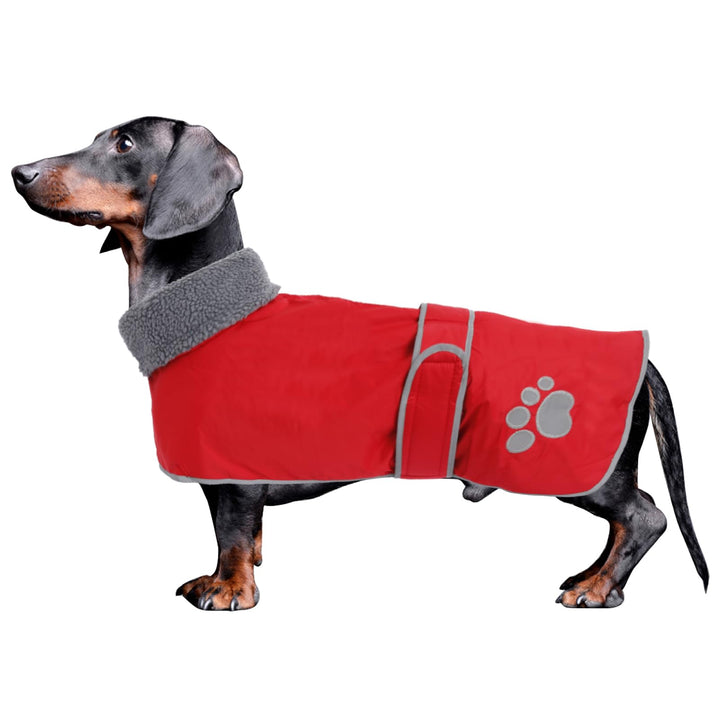 Geyecete-Hunde Wintermantel fur Dackel,Hundejacken mit plüschfutter und Kabelbaumloch,Wasserdichter
