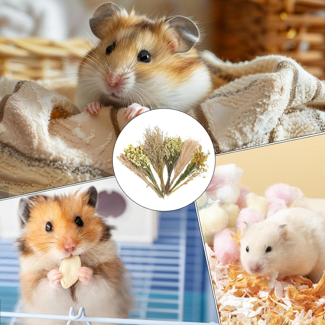 Hamster-Blumeneinstreu, Kleintier-Blumen, Lebensraum-Dekoration, Mäuse, Lebensraum, Dekoration, natü