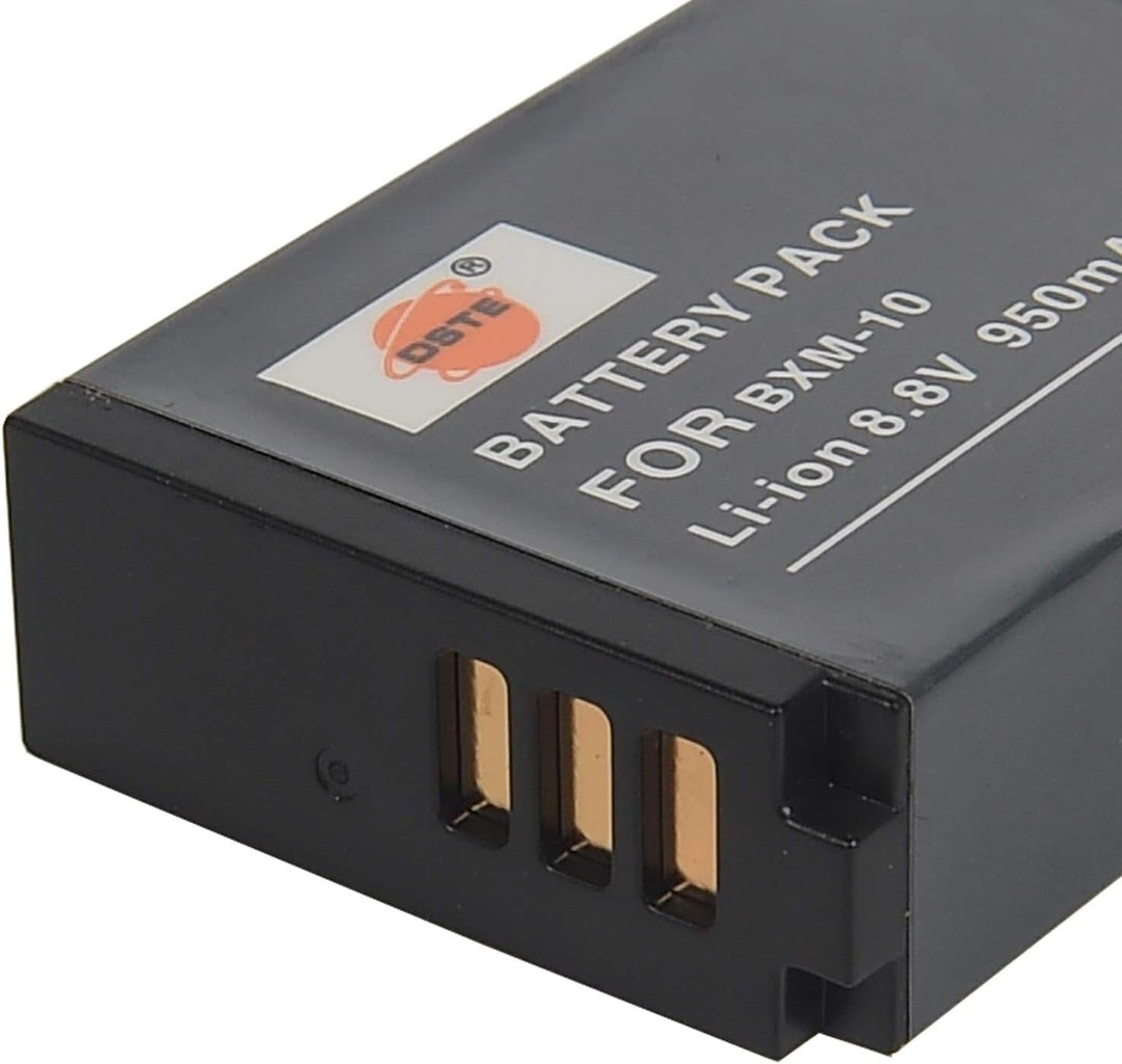 DSTE® 2-Pack Ersatz Batterie BXM-10 und DC175E Reise Ladegerät Compatible für XiaoYi BXM-10,XiaoYi Y