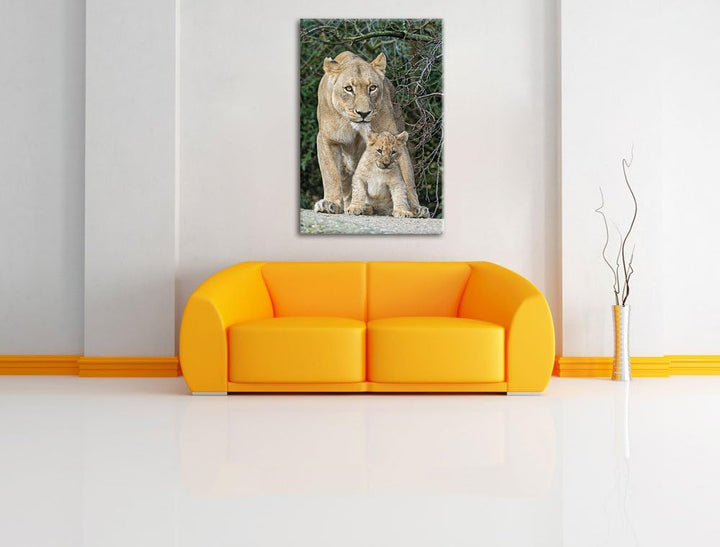 Pixxprint Löwin mit Jungtier auf Leinwand, XXL riesige Bilder fertig gerahmt mit Keilrahmen, Kunstdr