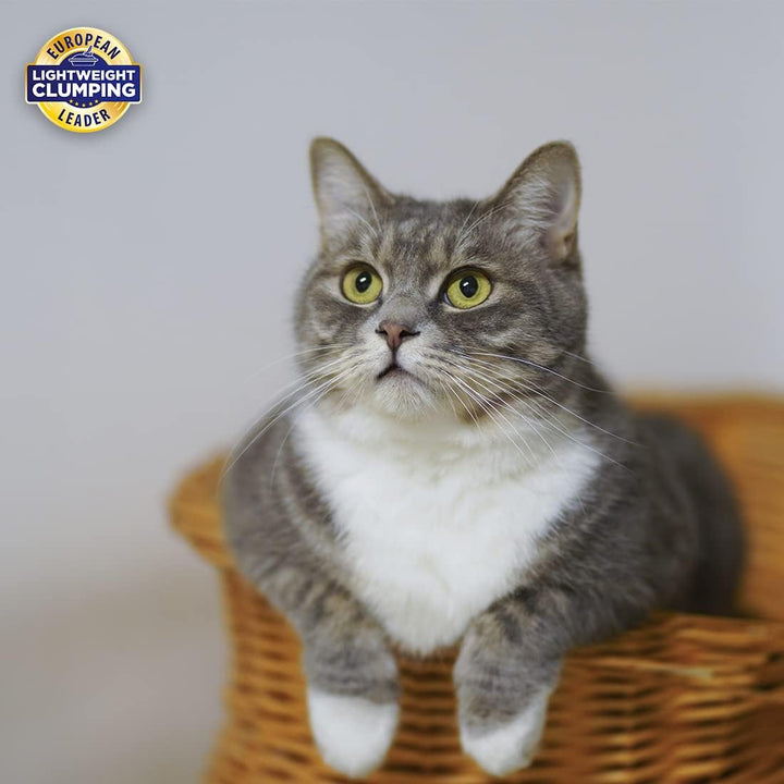Lightweight Ultra Fresh Bindestreu – leichter Sand und extrem klumpig mit feinem Parfüm, Katzenstreu