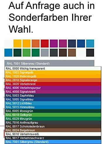 Auer Packaging Eurobehälter 60 x 40 x 42 cm, 86 Liter Eurobox grosse Lagerbox mit Griffen 60x40x42 P