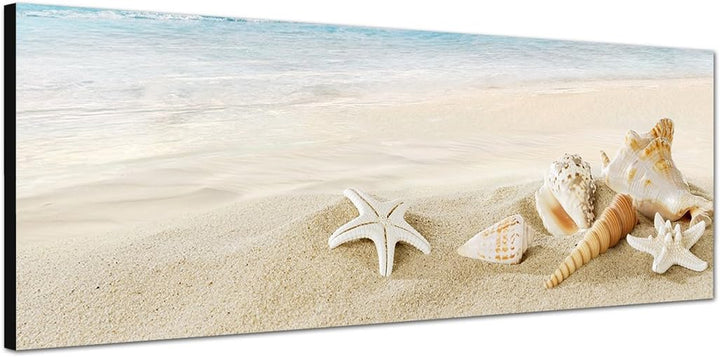 Paul Sinus Art Panoramabild auf Leinwand und Keilrahmen 150x50cm Sandstrand Meer Muscheln Schneckenh
