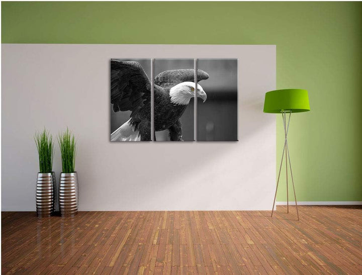 schöner Weisskopseeadler schwarz/weiss 3-Teiler Leinwandbild 120x80 Bild auf Leinwand, XXL riesige B
