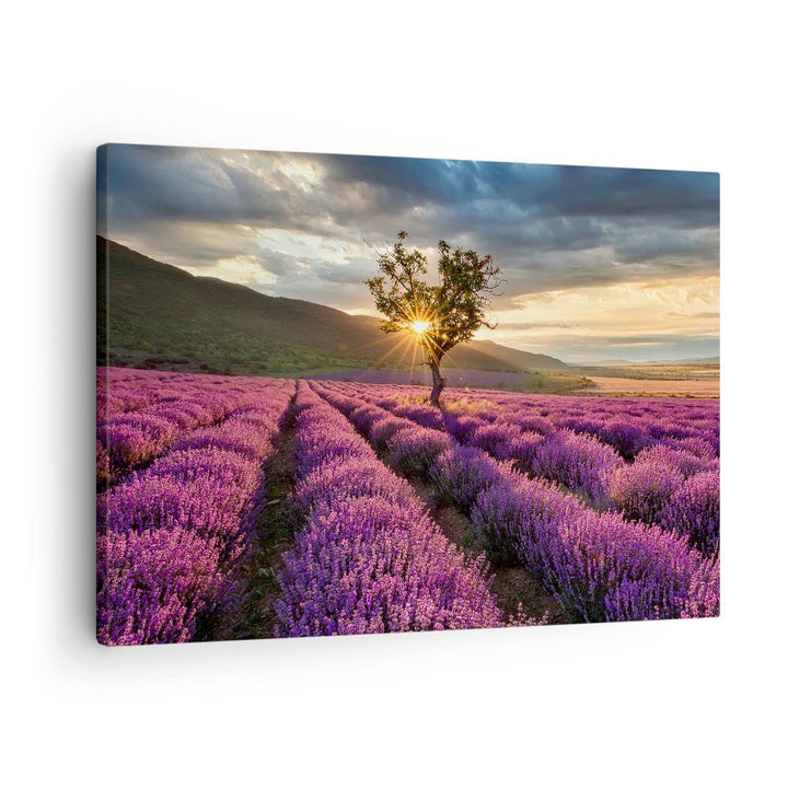 Bilder auf Leinwand Lavendel Berge Feld Leinwandbild mit Rahmen 70x50cm Wandbilder Dekoration Wohnzi