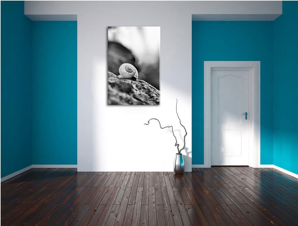 Pixxprint kleine Schnecke auf Stein als Leinwandbild | Grösse: 100x70 cm | Wandbild | Kunstdruck | f