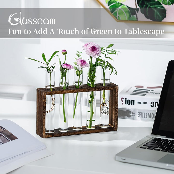 Glasseam Modern Blumenvase Kleine Vasen Deko Set Vintage Glas Reagenzgläser Für Blumen Mit Ständer H