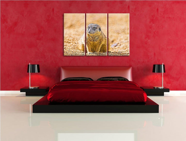 schüchternes Erdmännchen NewArt 3-Teiler Leinwandbild 120x80 Bild auf Leinwand, XXL riesige Bilder f