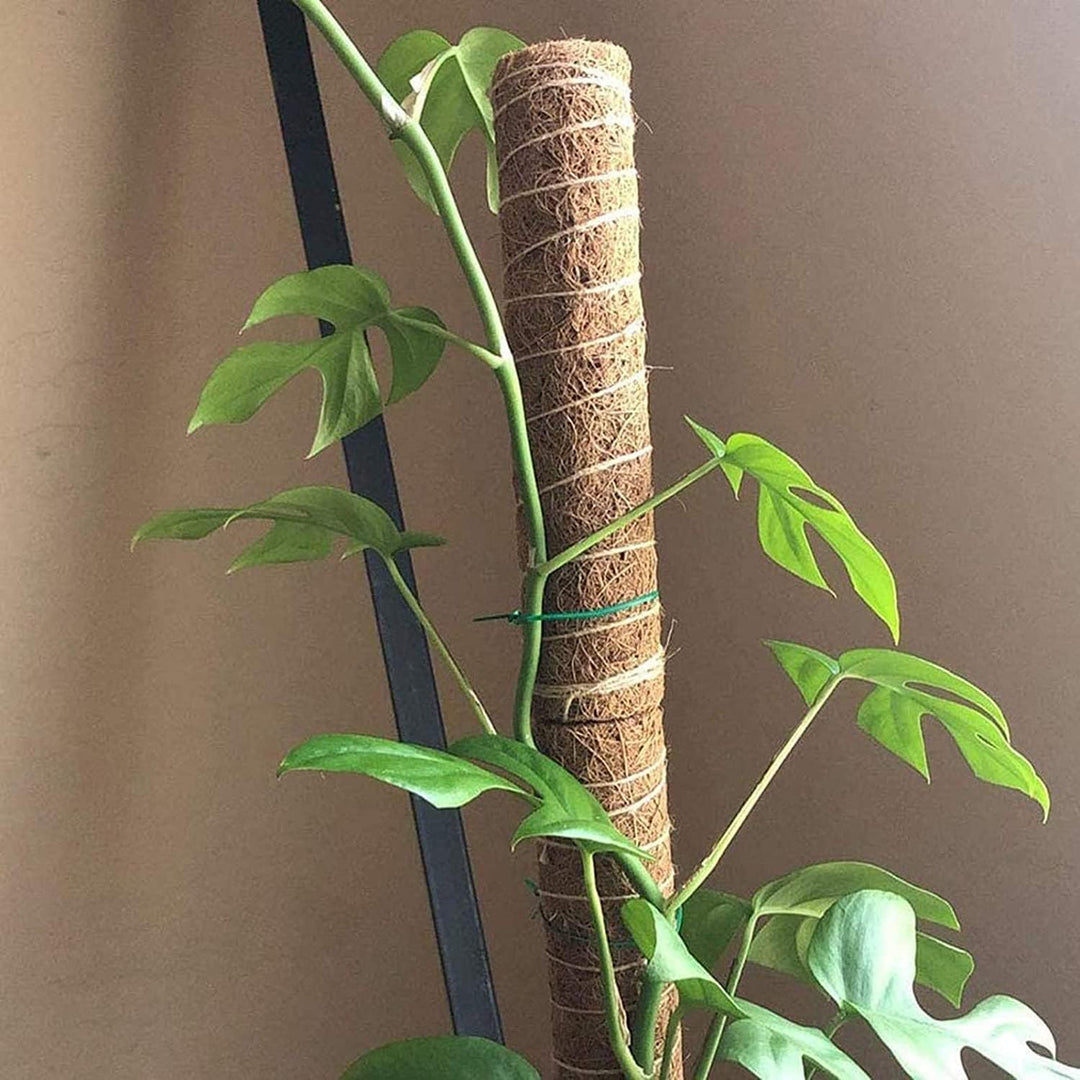 4 Stück Moosstab, 30cm Pflanzstab Kokos Moosstab, Monstera Rankhilfe, für Pflanzenklettern, Hausgart