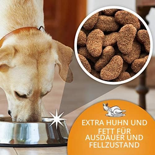Complete Hund Food - 15k Dr John Gold Medal