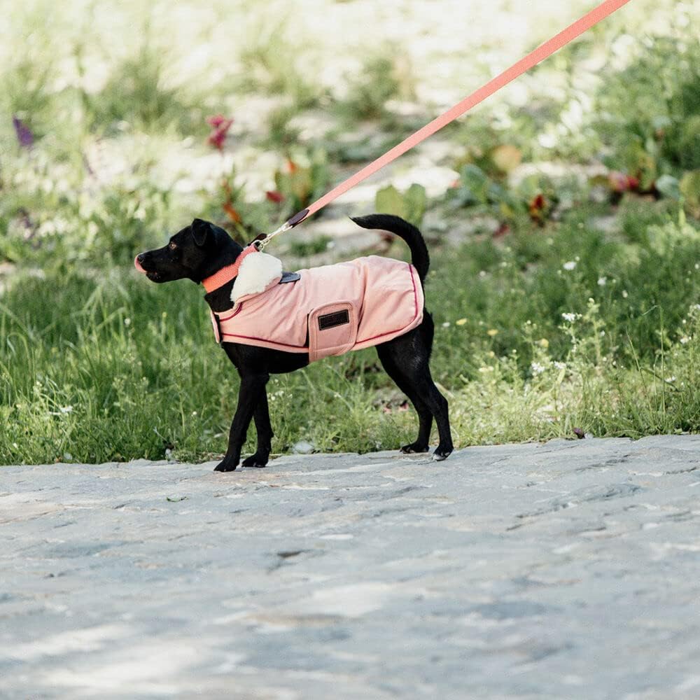 Kentucky Dogwear wasserfester Hundemantel, Grösse:S, Farbe:Coral S coral, S coral