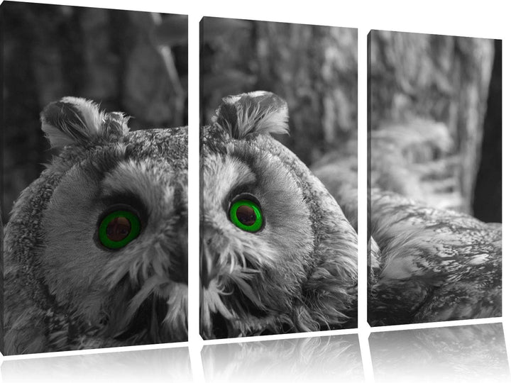 Niedliche Eule mit Grünen Augen schwarz/weiss 3-Teiler Leinwandbild 120x80 Bild auf Leinwand, XXL ri