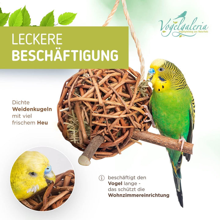 Vogelgaleria® 2er Set prall mit Heu gefüllte Weidenkugel 10cm zum knabbern und Klettern für Vögel |