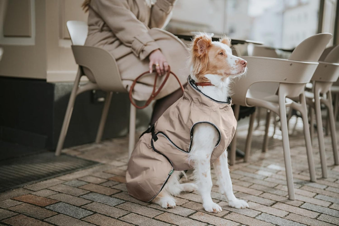 HUNTER UPPSALA Hundemantel, wasserabweisend, reflektierend, 60, taupe taupe 60, taupe 60