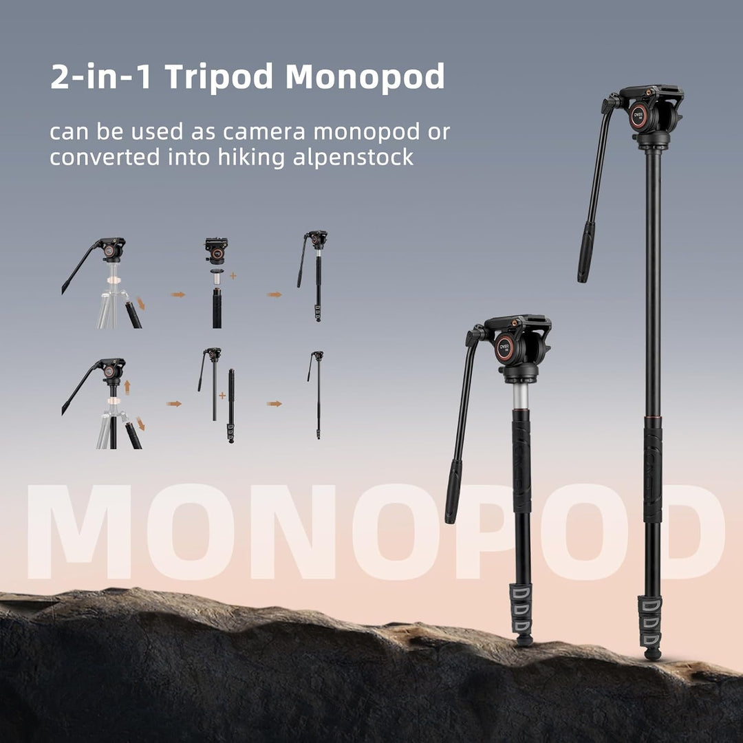 Cayer FP2450 Fluid Head Tripod, 75 Zoll Aluminium Video Stativ, 4-Sektion Kompaktes Kamerastativ umw