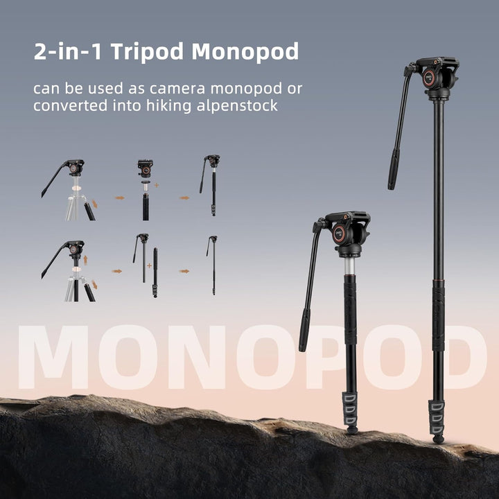 Cayer FP2450 Fluid Head Tripod, 75 Zoll Aluminium Video Stativ, 4-Sektion Kompaktes Kamerastativ umw