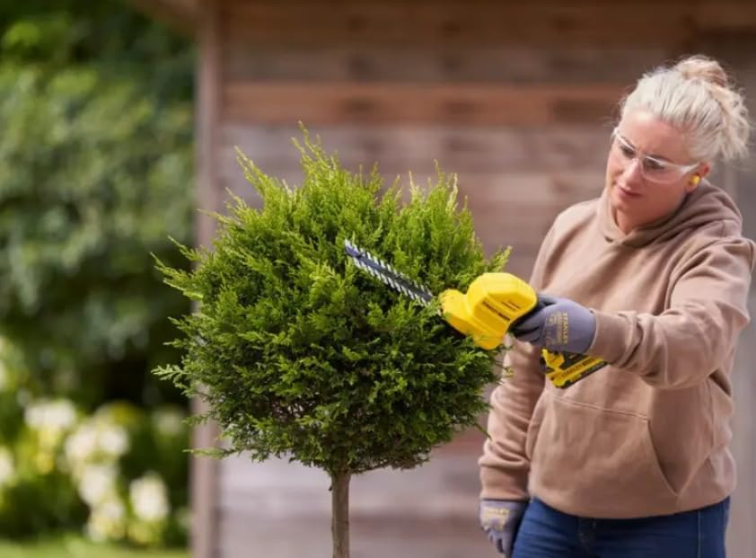 Stanley V20 Li-Ion 18V Gartenpflege Kit - Schwarz