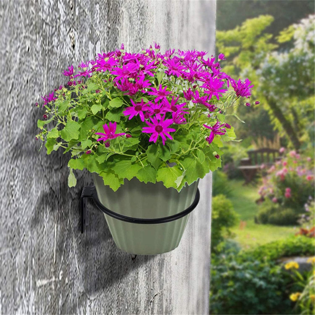 LIKEUDO 3 Stück 8 Zoll Wand Ring Blumentopfhalter Wandhalterung Blumentopf Rack Pflanzer Metall Topf