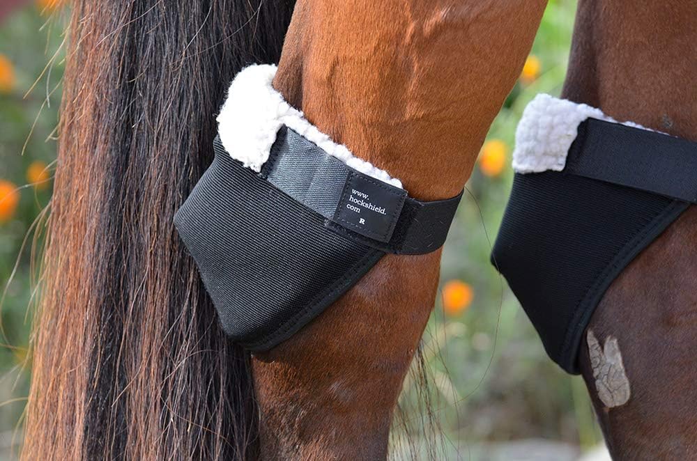 Intrepid International Hock Shield Protector X-Large Horse, X-Large Horse