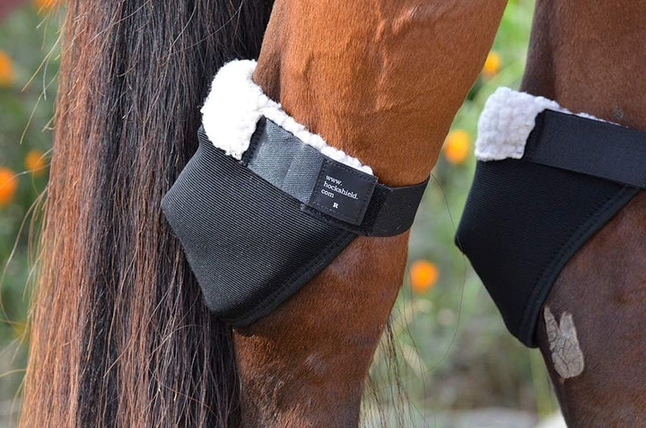 Intrepid International Hock Shield Protector X-Large Horse, X-Large Horse