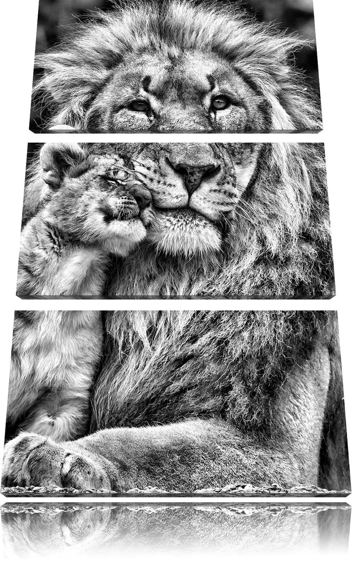 Pixxprint Monocrome, schöner Löwe mit Jungtier 3-Teiler Leinwandbild 120x80 Bild auf Leinwand