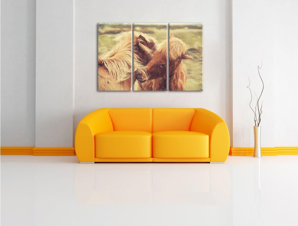 Pixxprint Islandpferde Pony als Leinwandbild 3 teilig/Grösse: 3 Teilig (120x80) / Wandbild/Kunstdruc
