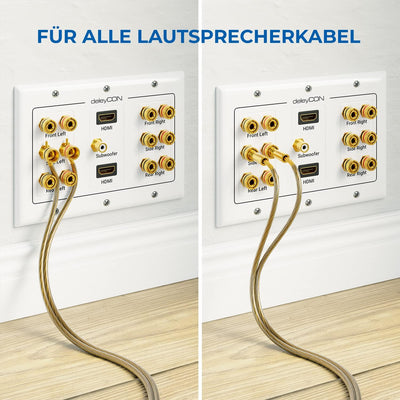 deleyCON Multimedia Lautsprecher Boxen Wanddose Anschlussdose Wandplatte mit Bananenstecker-Buchsen