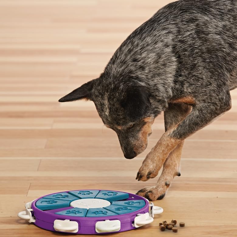 Outward Hound by Nina Ottosson Dog Twister Treat Puzzle Enrichment Toy, Level 3 Advanced, Purple, Do