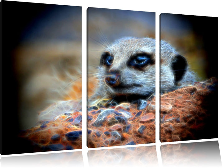 Dark ausgewachsenes Erdmännchen auf Steinboden NewArt 3-Teiler Leinwandbild 120x80 Bild auf Leinwand