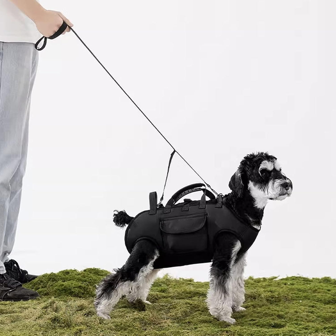 Der Hundetrage-Rucksack Verstellbarer Rucksack Inklusive 1,5 M Zugleine | -Transporttasche für klein