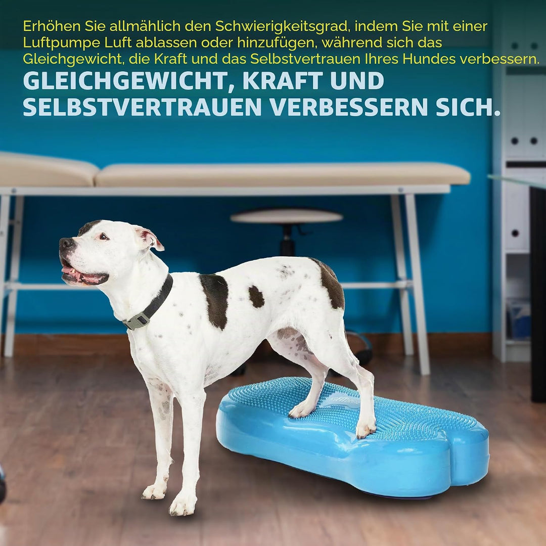 FitPAWS Giant Fitbone (blau)
