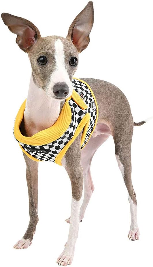 Racer Harness B, Farbe: Gelb, Grösse: M Gelb Medium, Gelb Medium