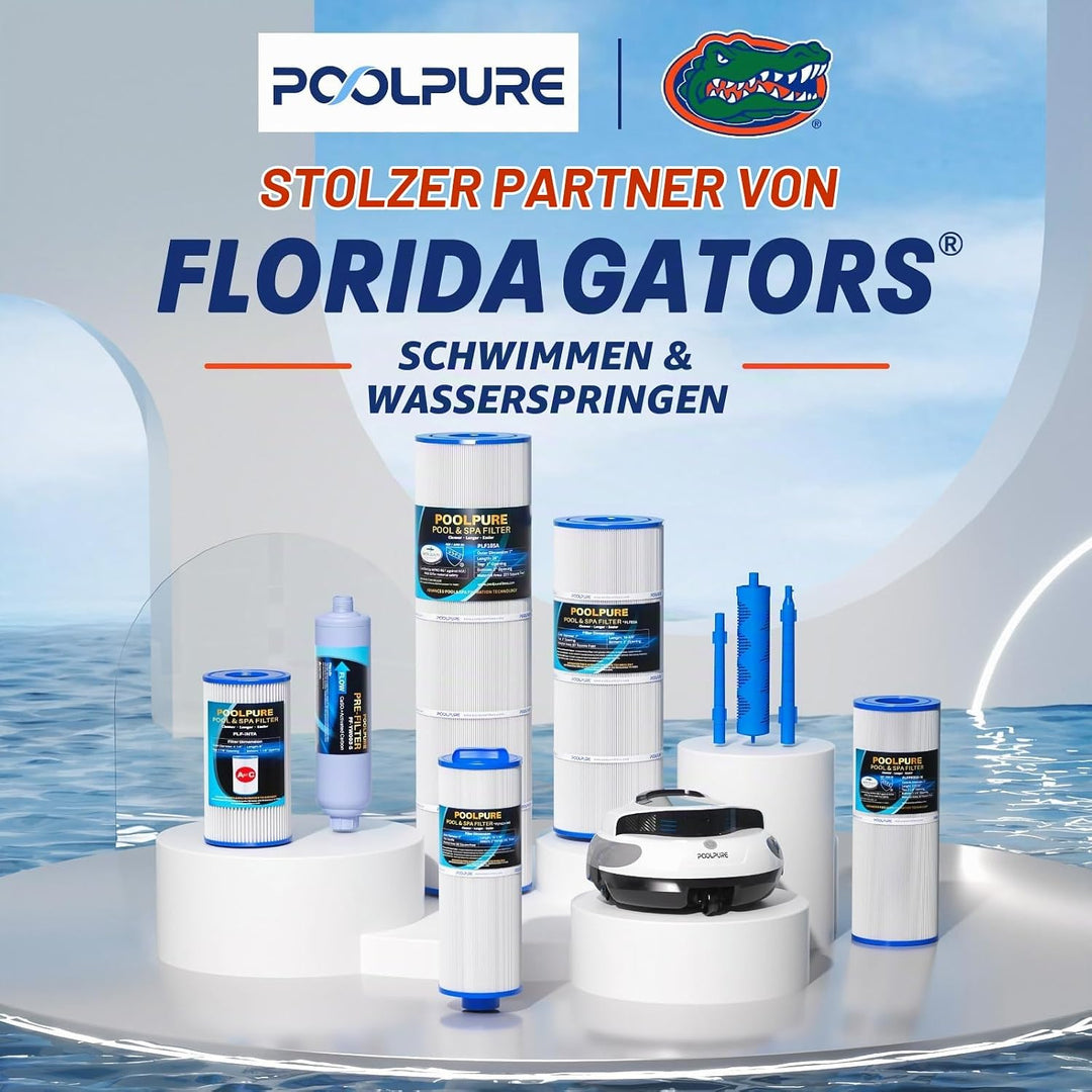 POOLPURE 12 Stück filter für Typ A oder C, kompatibel mit Intex 29000E/59900E, Easy Set Poolfilter,