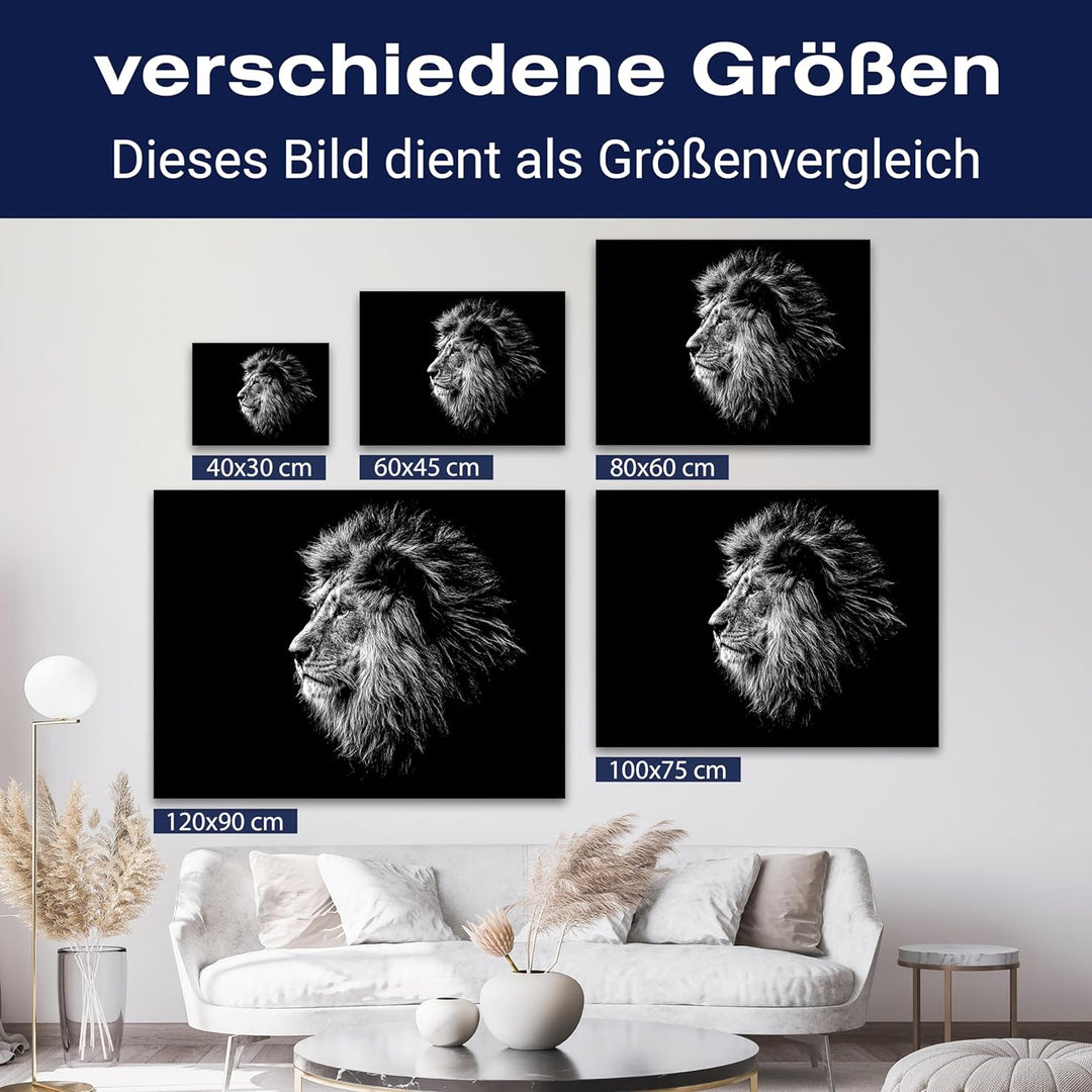 wandmotiv24 Leinwandbild Schwarz-Weiss, 80x60cm, Querformat, Löwe, Deko, Bilder auf Leinwand, Wandde