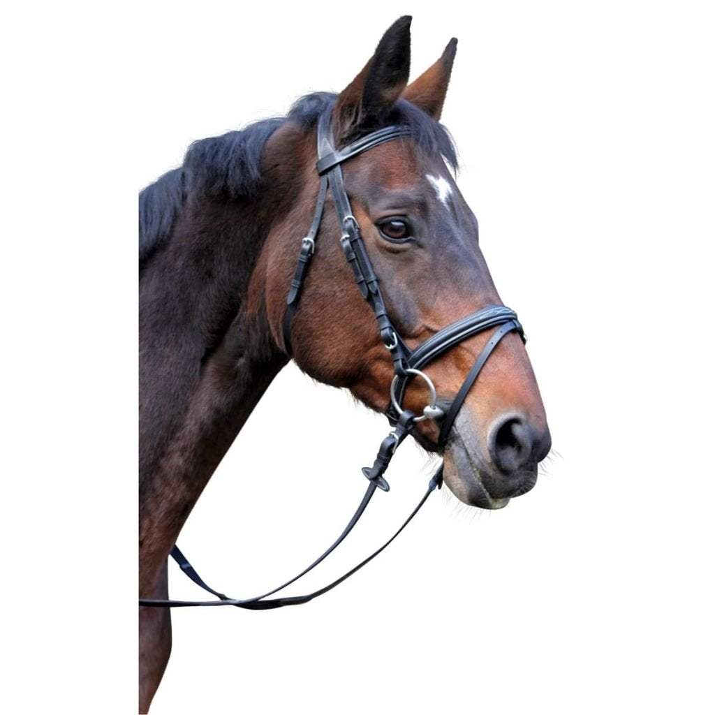 Kerbl 326137 Trensenzaum Classic Leder, Schwarz, Pony Schwarz Pony, Schwarz Pony