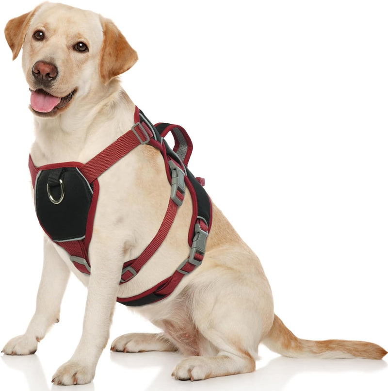 Hjumarayan Hundegeschirr - Reflektierende Geschirr Hund Wasserdicht Sicherheitsgeschirr Hund mit Gri