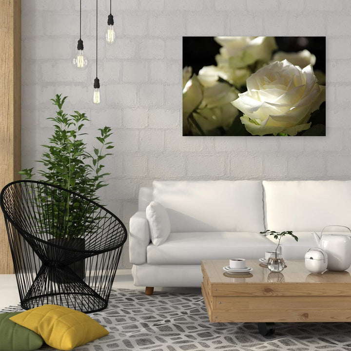 Feeby Bild auf Leinwand Blumen Weisse Rosen 120x80 cm 1Teilig Wohnzimmer Schlafzimmer Modern Wandbil