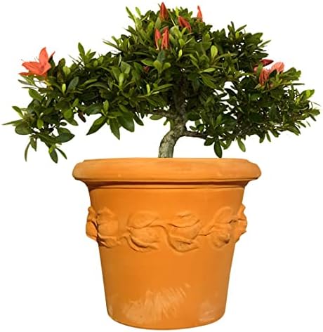 TucanoHamburg Terrakotta Blumentopf, Modell Conca Limoni 36x30cm, frostfest