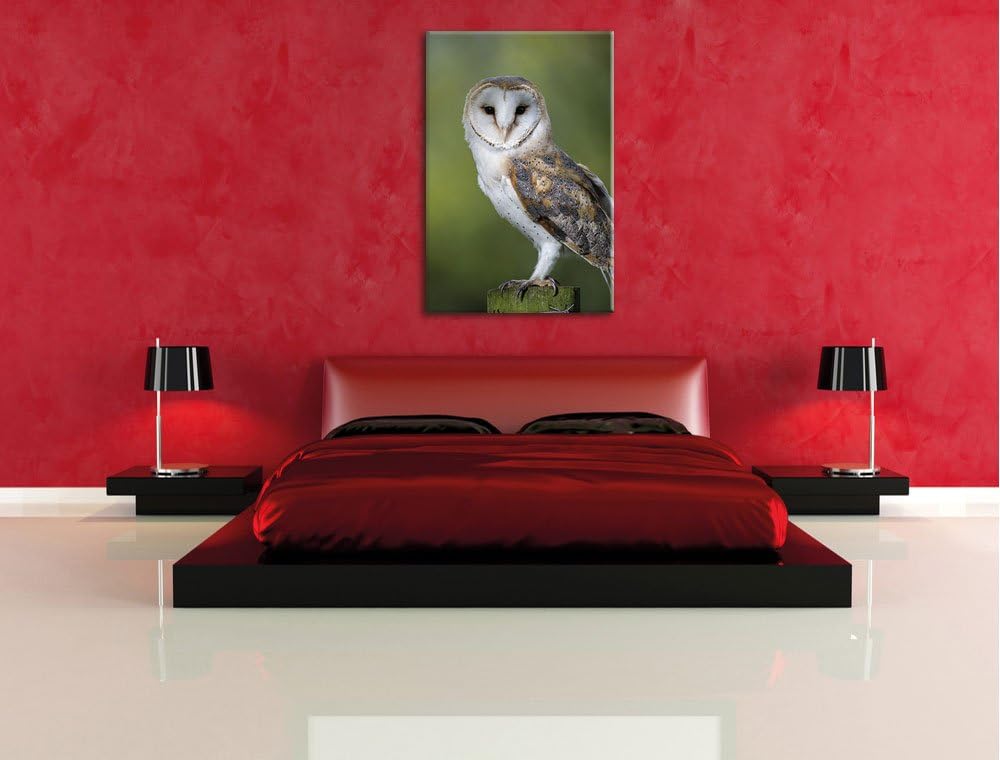 Pixxprint Eule, Format: 100x70 auf Leinwand, XXL riesige Bilder fertig gerahmt mit Keilrahmen, Kunst