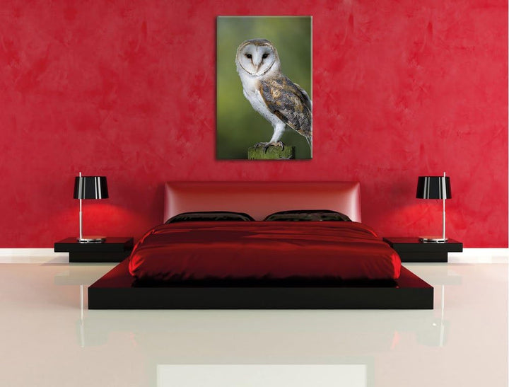 Pixxprint Eule, Format: 100x70 auf Leinwand, XXL riesige Bilder fertig gerahmt mit Keilrahmen, Kunst