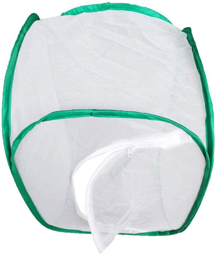 Yeelan Schmetterling Lebensraum zusammenklappbare Bug Catcher Net Mesh Insekten Pflanze Käfig Terrar