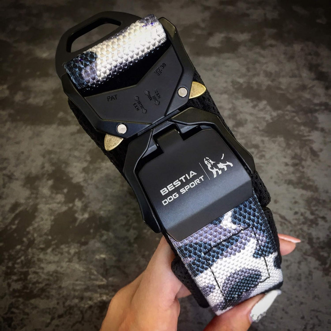 Bestia Dog Sport - Schnellverschlusshalsband S - Beschlag von 30 bis 45 cm, S - Beschlag von 30 bis