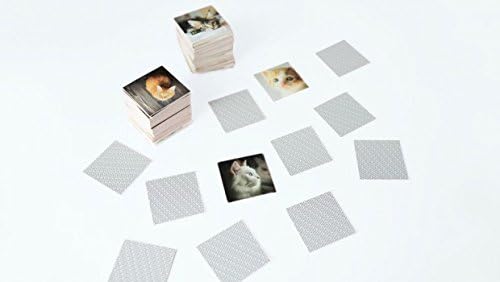 Remember MEM01 Memory Gedächtnisspiel Katzen – 44 Bildpaare für Katzenfreunde (88 Karten) Mehrfarbig