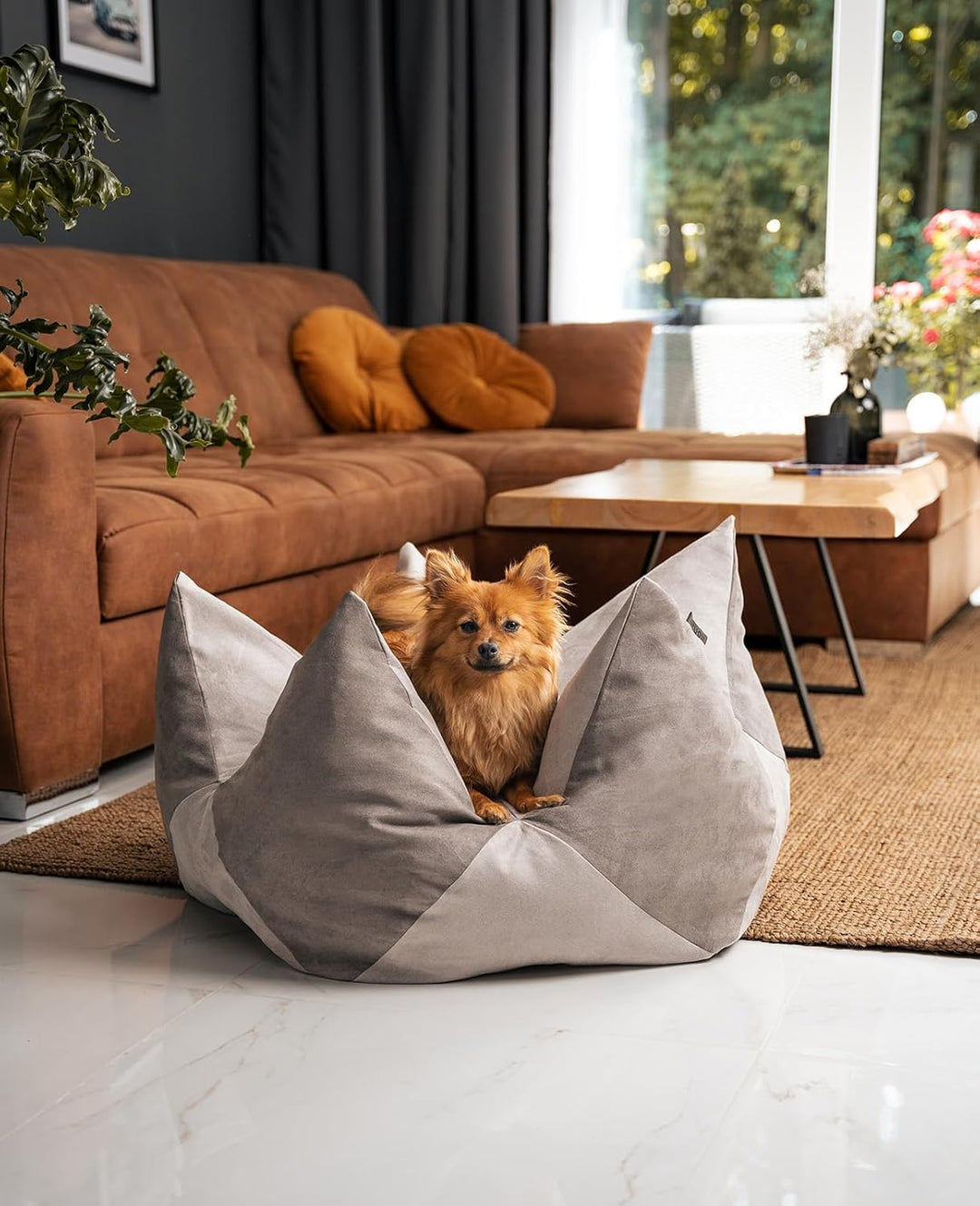 lionto Kronenkissen in Wildlederoptik für Katzen und kleine Hunde, extravagantes Sternenkissen mit a