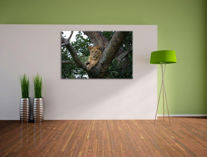 schöne Löwin auf Baum Leinwand, XXL riesige Bilder fertig gerahmt mit Keilrahmen, Kunstdruck auf Wan