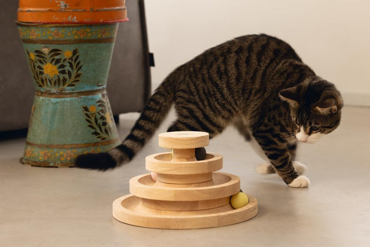 Designed by Lotte Spielturm Mia – Katzenspielzeug – Holz – Braun –
