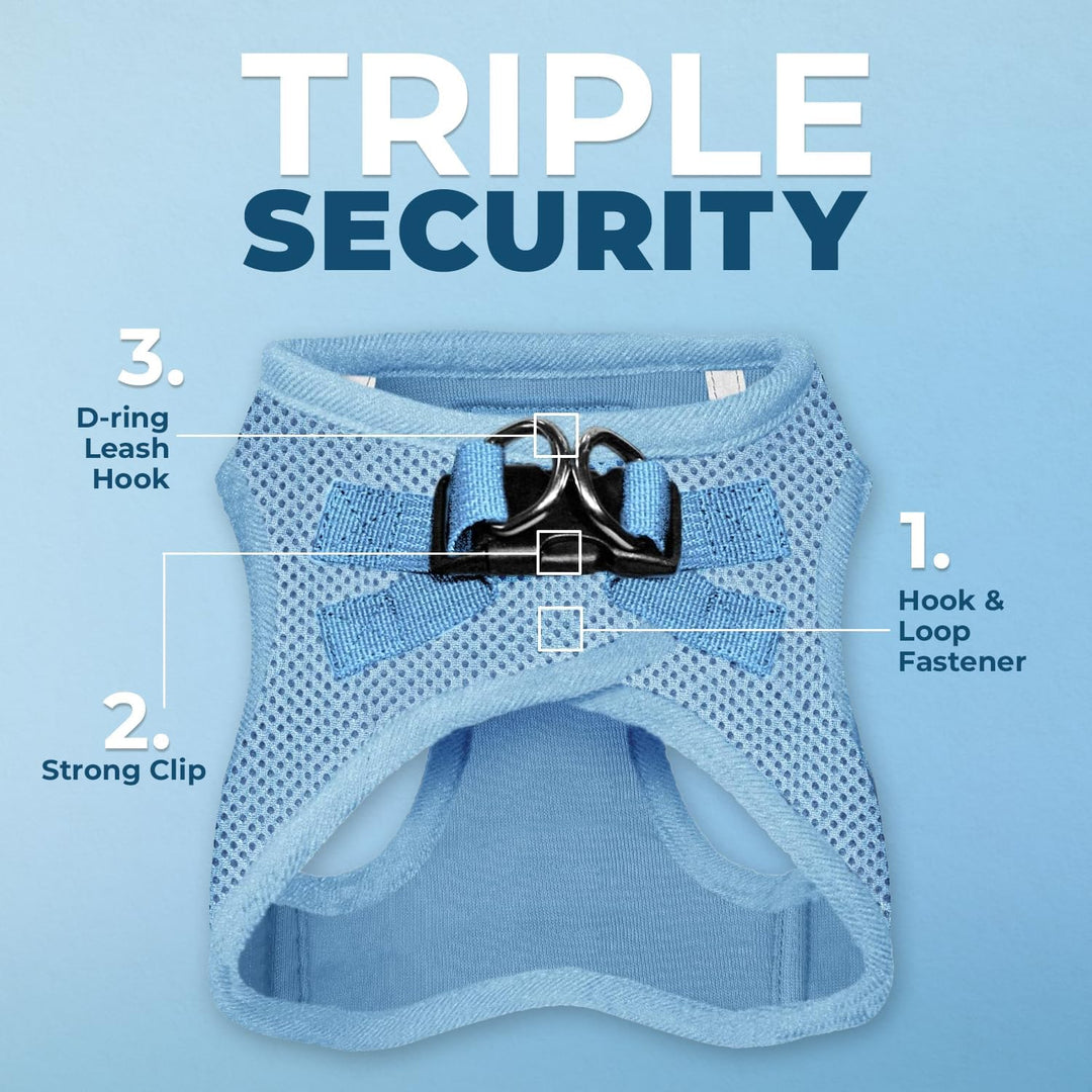 Best Pet Supplies Voyager Step-in Air Allwetter-Mesh-Geschirr und reflektierende Hundeleine, Kombina