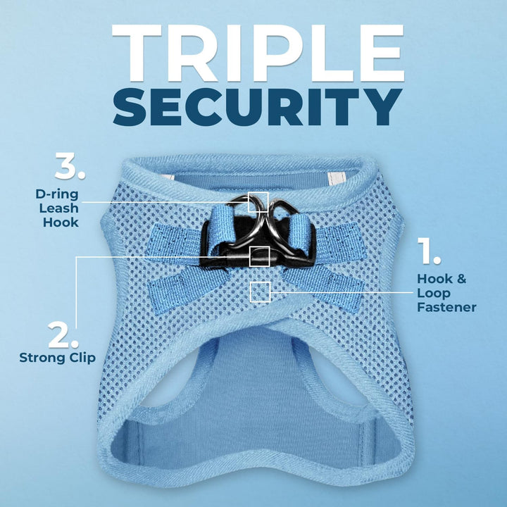 Best Pet Supplies Voyager Step-in Air Allwetter-Mesh-Geschirr und reflektierende Hundeleine, Kombina